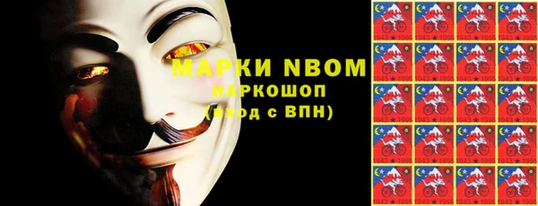 стаф Алексин