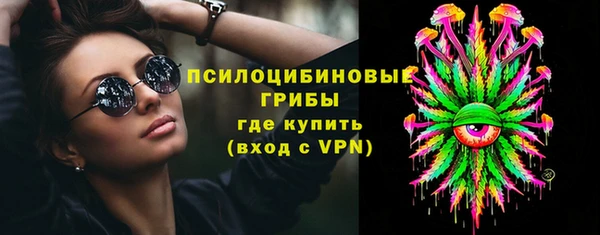 стаф Алексин