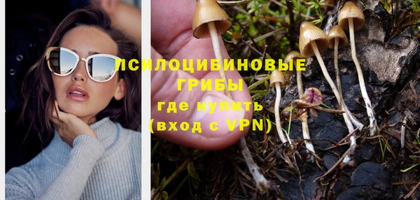 стаф Алексин