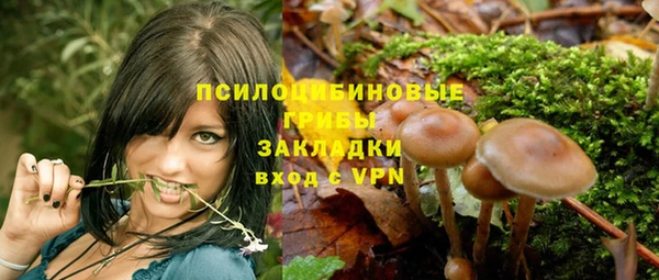 круглые Алзамай