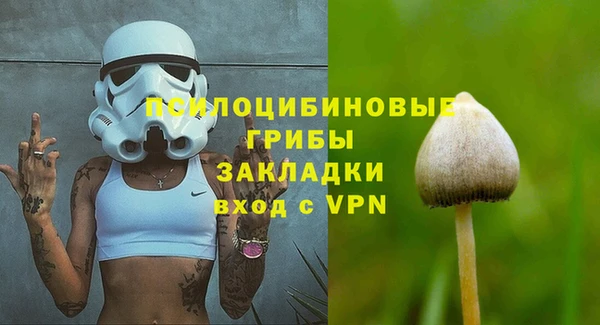 круглые Алзамай