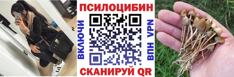 как найти закладки  Анива  Псилоцибиновые грибы Cubensis 